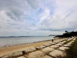 The Shorefront (D17), Apartment #542718671